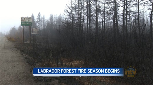 Province updates promised Atlantic Wildfire Centre as Labrador's forest fire season begins - NTV