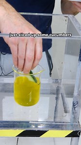 2.5M views · 10K reactions | Making instant pickles in a vacuum chamber! #reels #theactionlab #vacuum #chemistry #pickles #instantpickles #foodvideos | The Action Lab | Facebook
