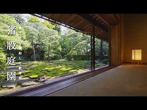 くつろぐ｜猪股庭園 - 異文化の調和した数寄屋