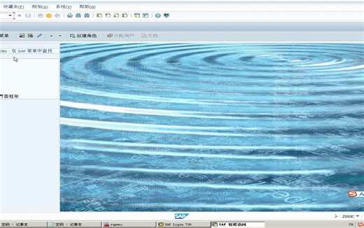 SAP系统如何设置数字、日期、时间格式