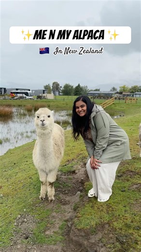 Me in NEW ZEALAND #newzealand #travel #shorts #mountains #pahad #roadtrips #alpaca #cute