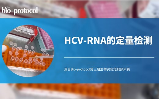 【短视频大赛】HCV-RNA的定量检测
