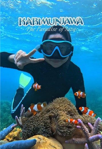Karimunjawa: Surga Tersembunyi di Pulau Jawa