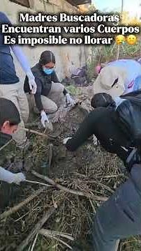 Search groups located human remains in an area of ​​El Salto, Jalisco
