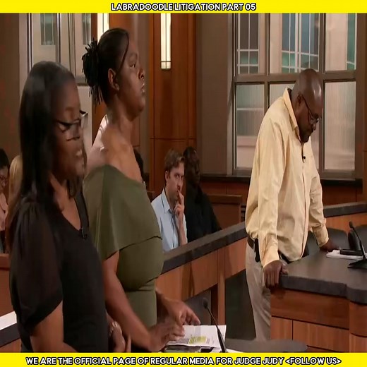 28K views · 394 reactions | Labradoodle Litigation Part 05 | Regular Media | Facebook