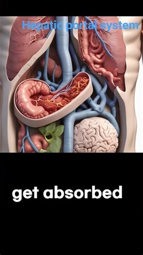 Hepatic portal system,Liver function animation.#neet #facts #science#htet#kvs#nvs#shorts