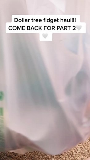 Dollar tree fidget haul!! Make sure to come back for part 2 #fyp #fidget #fidgettoys #stimming #foryou #fypシ