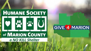 With every donation we receive with #Give4Marion, we are one step closer to meeting our goal of improving our lobby and cat rooms. https://www.give4marion.org/organizations/humane-society-of-marion-county-inc Community Foundation Ocala Marion County | Humane Society of Marion County Florida