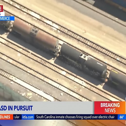 31K views · 206 reactions | Man tries to jump on train during pursuit | Alice King | Facebook