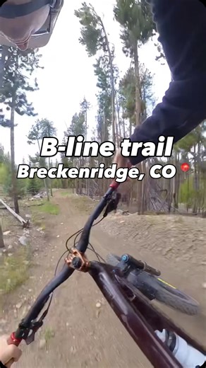 B-line trail 🏔️ located in Breckenridge, Colorado. 🚴‍♂️ @donny.mccauley @townofbreckgov @gobreck #colorado #mountainbike #ridetogether #shred #outdoors #jumps #breckenridge #santacruz #frisco #dillon #weridetogether #snowdays #mtb #pinkbike | Donny McCauley