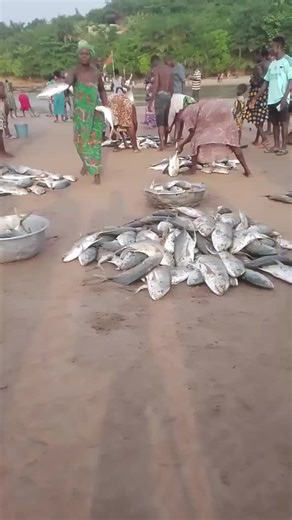 Alex Jackson Blankson Tondoh W (@alexjacksonblankson1)’s videos with original sound - Big Ŵalex 👑