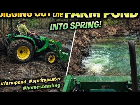 We Hit into the Natural Spring While Digging Out the Farm Pond! 🚜💧