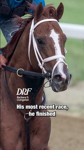 Belmont Profiles | Tapit Shoes