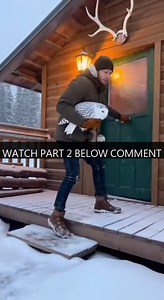235K views · 7.5K reactions | WATCH FULL VIDEO BELOW COMMENT  P3012011 saved tiny owl lynx somehow we became family (Part 1) | Perfect Movie | Facebook