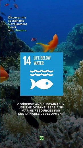 #SDG 14: Conserve and sustainably use the oceans, seas and marine resources
