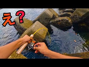 【穴釣り】スーパーの激安アジを落とすと高級魚が狂うwith水ラーメンさん