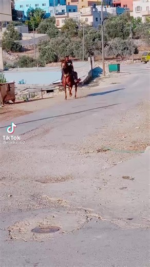 #الخيل_معقود_في_نواصيها_الخير❤️ #ظهورها_عز_وبطونها_كنز😉 #صلوا_على_رسول_الله #صلاةالنبي_احسن #اكسبلور #ترند #viral #foryou #ميرا 😘