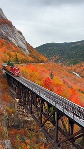 124K views · 20K reactions | Share this with someone you want to...