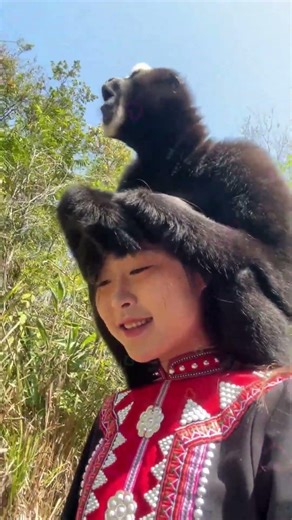 #gibbon #wildanimals #monkey #monkeybehaviour #wildlife