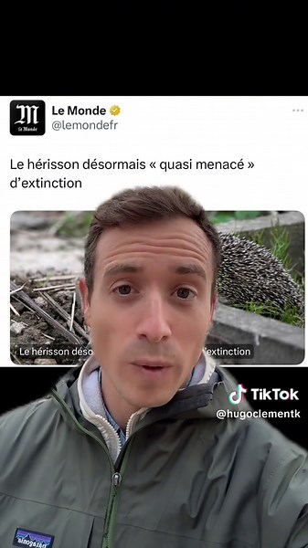 La biodiversité menacée : le cas du hérisson