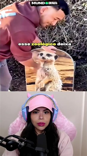 Testando a Força dos Animais