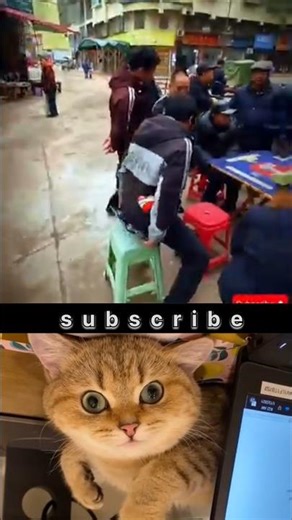 chair prank #funny #memes #cat #tiktok