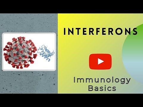 interferons | IFN -α/β & γ