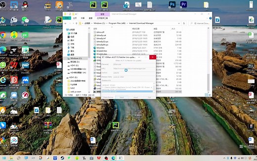 [教程]IDM安装与使用