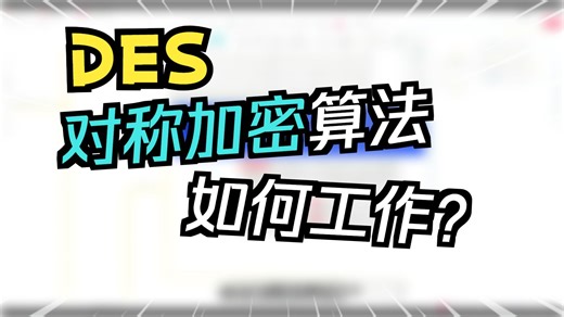 爬虫逆向DES加密：从轮函数到密钥生成的完整实现