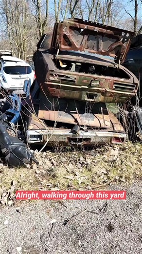 10K views · 977 reactions | Another Chevelle SS sitting in a junkyard. Sadly being crushed by a 1968 Firebird. Do you think it is worth saving? Save or Pass? #yardfind #junkyardfind #junkyard #chevelle #chevy #pontiac #firebird #autoarchaeology | The Auto Archaeologist | Facebook
