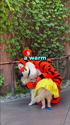 Service Dog Gets a Special Hug from Tigger at Disney! ❤️