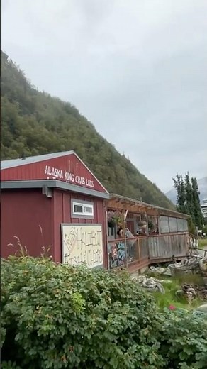 Where is the best cod at in Alaska? #subscribe #cod #alaskacruise