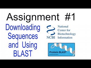 Downloading Sequences and BLAST Search
