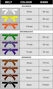 The Journey from White to Black Progression in Shotokan Karate Belts | KARATE SIR