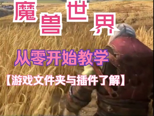 从零开始学魔兽第二期：游戏文件夹与插件的了解