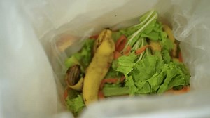 Écologie Le compost fournit de la : vidéo de stock (100 % libre de droit) 1109689313 | Shutterstock