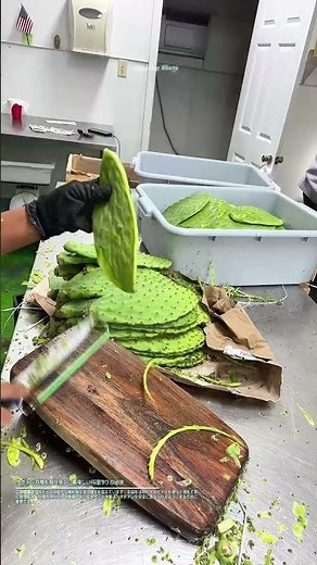 サボテンの棘を取り除く：美味しい料理作りの秘訣