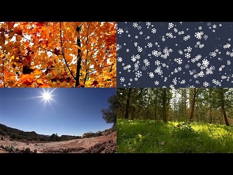 The 4 Seasons in Chinese | Learn Chinese Now
