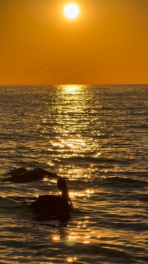 Happy weekend!!! | Lisa Asbell