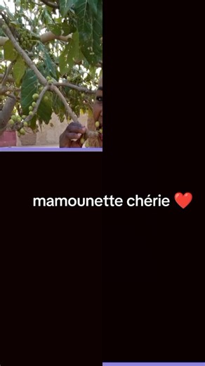 Vidéos de Cara Elvire chaida❤️ (@cara.elvire.chaid) avec YA NGA BÉBÉ - Odon_Tshamala