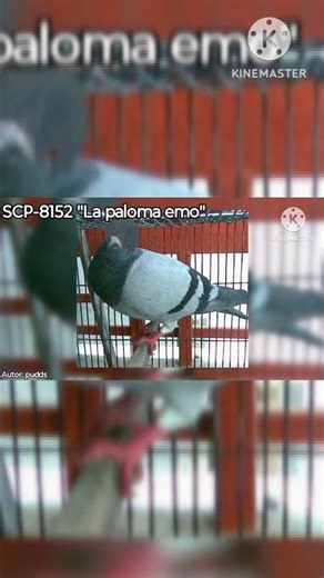 #loquendo #scp #tendencias #scpfoundation #viral