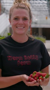 Find your "jam" in new episodes of Wisconsin Life! Erin Warner’s horticultural journey led her to Warm Belly Farm - Fort Atkinson, where she oversees a large self-serve, hydroponic strawberry operation. Wisconsin Life airs 7 p.m. each Thursday on PBS Wisconsin. Watch more full episodes and segments online at http://pbswisconsin.org/wilife and on the free PBS app on all digital devices and smart TVs! | PBS Wisconsin