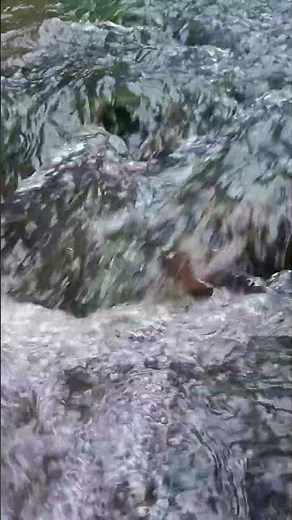 Relaxing Running Water Sounds 8K/Relaxing Nature Sounds/Soothing Mountain River Flowing/ASMR Nature.