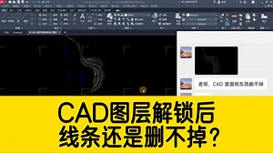 CAD图层解锁后，线条还是无法删除？显示ACAD_PROXY_ENTITY对象？