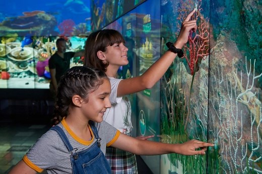 The Cube QUT Gardens Point | Must Do Brisbane