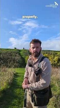 Flying with our Lugger Falcon