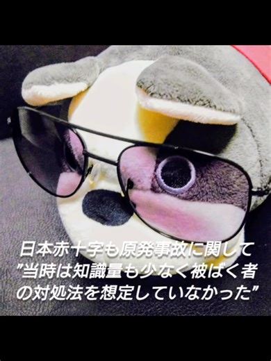 #原発事故 #差別問題 #忘れてはいけない 東日本大震災発生日が近付くと思い出す、原子力発電所に関する話の記憶。 今回は東海村の臨界事故を主に書いたのは、実際に資料館及び慰霊碑まで行けたから。 現地での印象としては”原発との共存”至る所に計測器が設置されている。 地域の人と話をして感じたのは臨界事故を経て、万が一の時の覚悟の重み。 作業員の方じゃ無くてもいつ万が一の事態に巻き込まれるか分からない。 色々と話を聞かせて頂いた方はとても温厚で優しかった。 挨拶を終え車に戻ったあと何故か分からないけど涙が出た。 自身が精神的に不安定というのもあったし上手く表現できないけど、言葉以外にも何か伝わって来るものがあった気がした。 自分で動けるうちに観光目的以外でも訪れたい所はまだ多々ある。