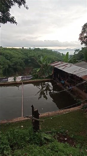 LAGU SUNDA CALUNG KANG YAYAN JATNIKA..‼️