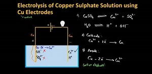 Electrolysis of Copper Sulphate Solution using Cu Electrodess ... | Filo