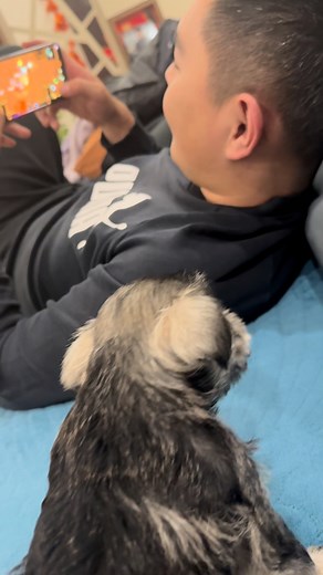 10K views · 213 reactions | Good boy loves to watch gaming | Beautiful World | Facebook